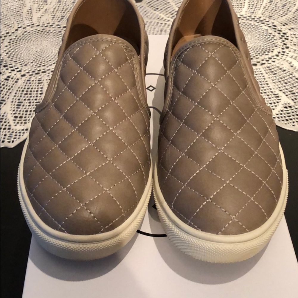 Steve Madden Ecentrcq slip ons